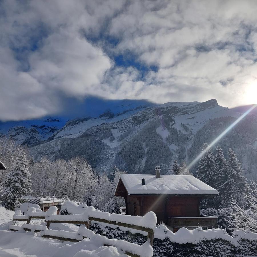 Chambre D'Hotes L'Ours Bleu Les Diablerets Exterior photo